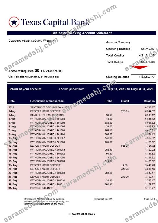 Texas Capital Bank company account statement Word and PDF template
